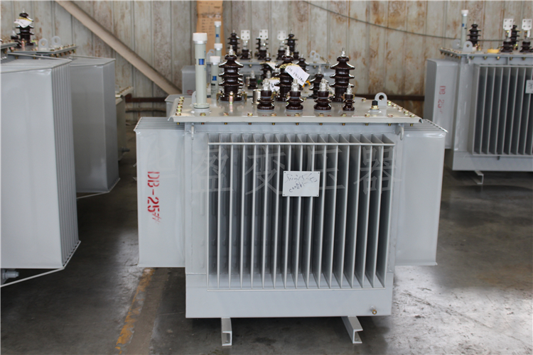 阜新S20-800kVA/10kV/0.4kV变压器